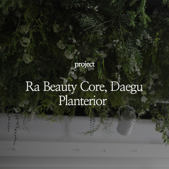 Ra Beauty Core, Daegu Planterior
